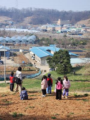 1학년이 앞산에 가서 진달래 꽃을 따왔다. 